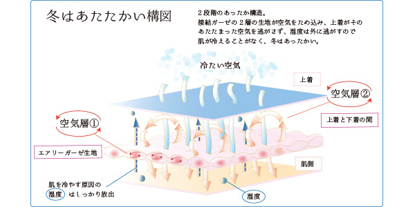 コットン特徴④冬は暖かい