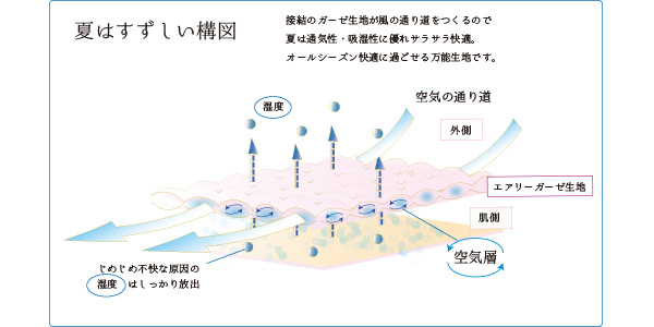 コットン特徴④夏は涼しい