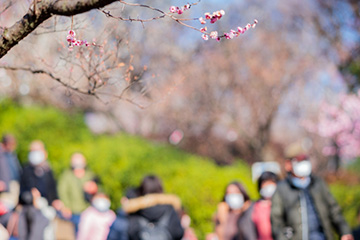 花見寒い