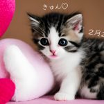 【猫が苦手な人必見！】ネコに好かれる接し方とは？