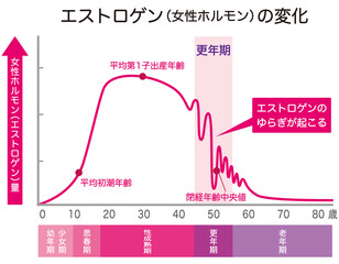 女性ホルモン（エストロゲン）