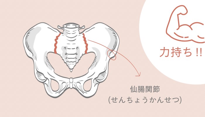 仙腸関節