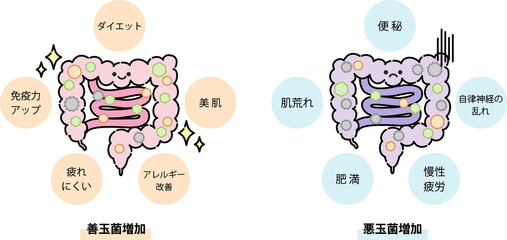 腸活の効果メリット